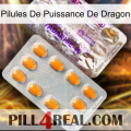 Dragon Power Pills new12
